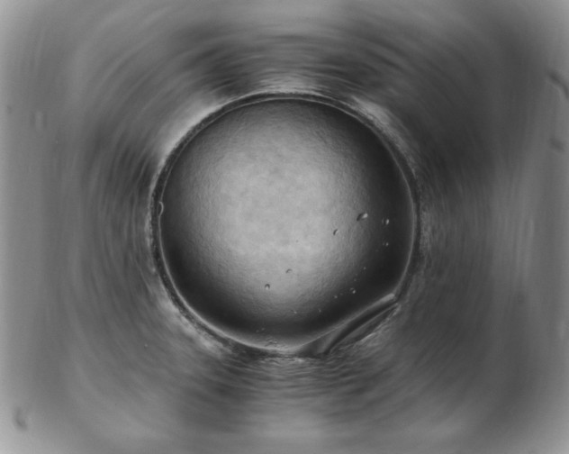 X0000103141331200808221207