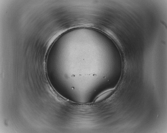 X0000103141332200808221207