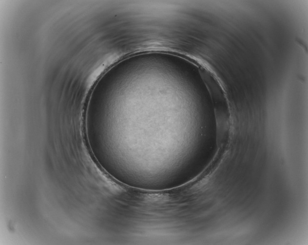 X0000103141333200808221207