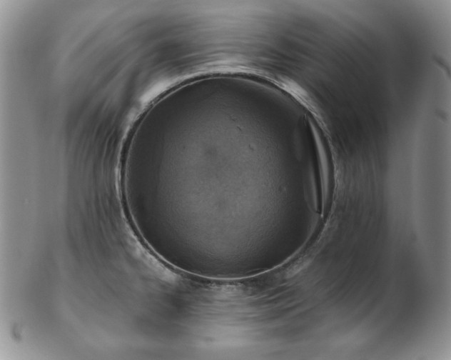 X0000103141334200808221207