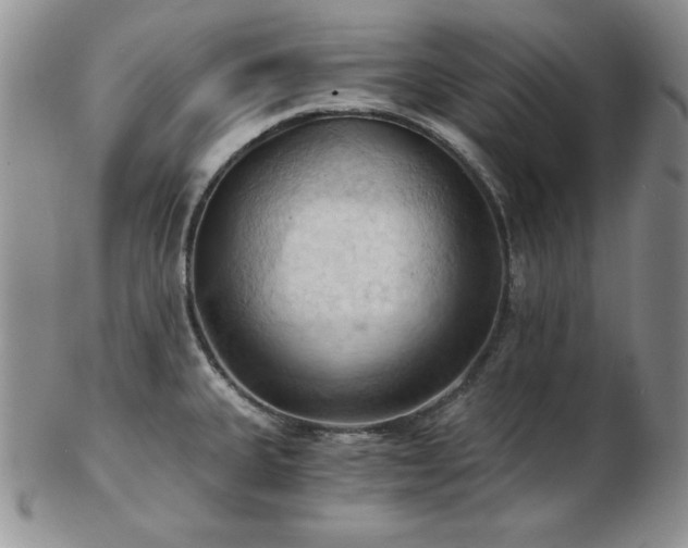 X0000103141335200808221207