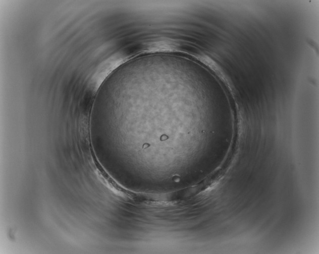 X0000103141337200808221208