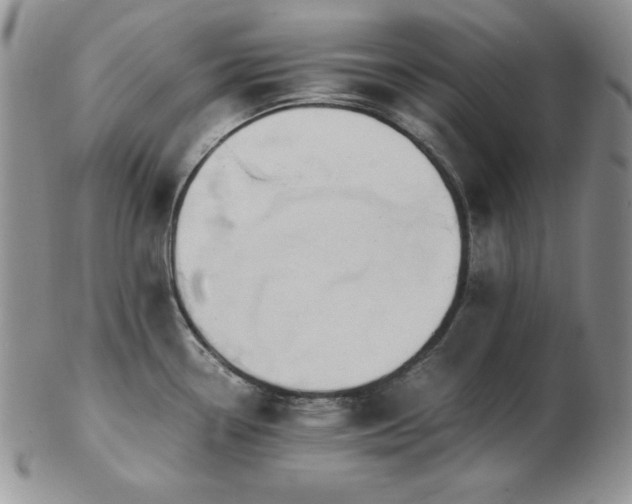 X0000103141338200808221208