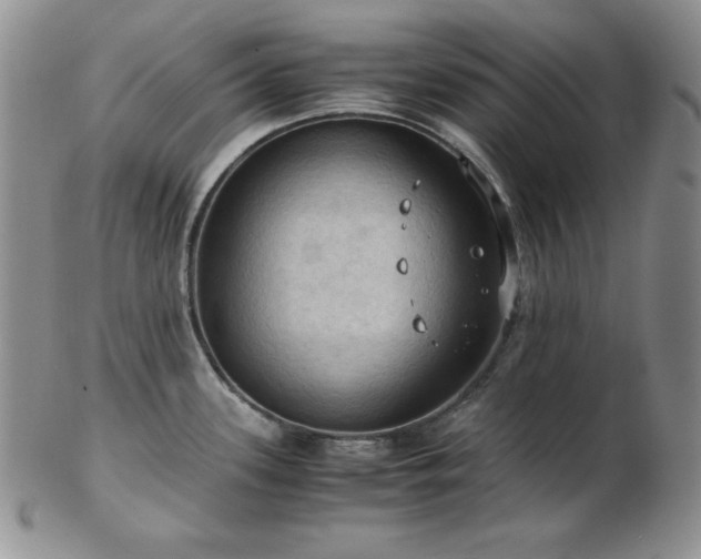 X0000103141339200808221208