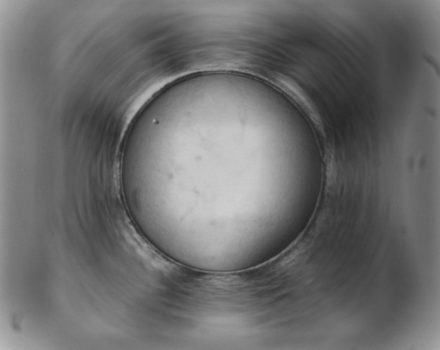 X0000103141340200808221208