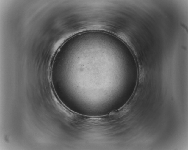 X0000103141342200808221208