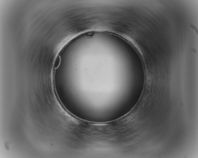 X0000103141343200808221208