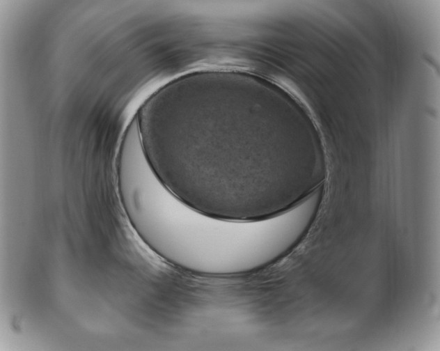 X0000103141344200808221208