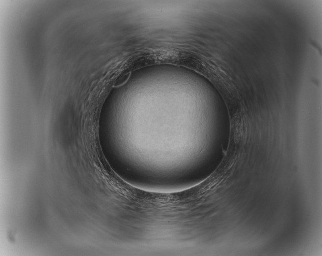 X0000103141345200808221207