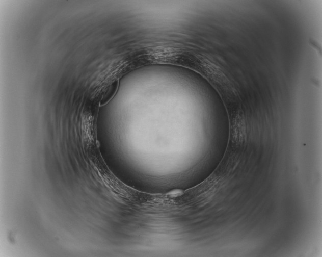 X0000103141346200808221207