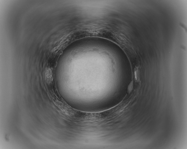 X0000103141347200808221207