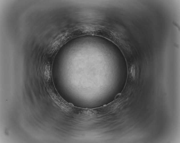 X0000103141348200808221207