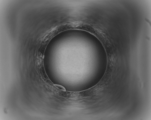 X0000103141349200808221207