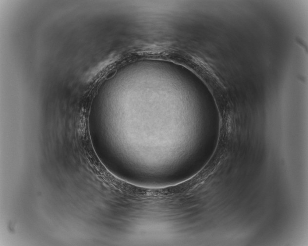 X0000103141350200808221207