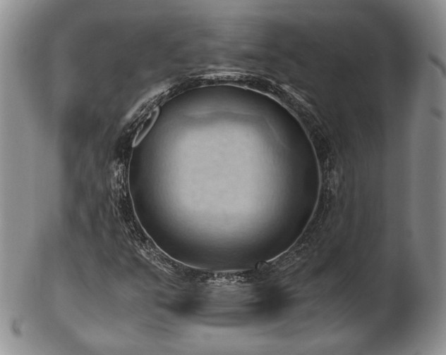 X0000103141351200808221207