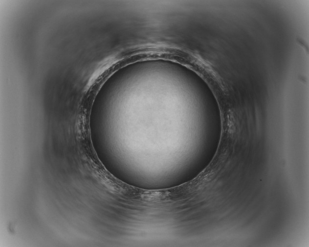 X0000103141352200808221207