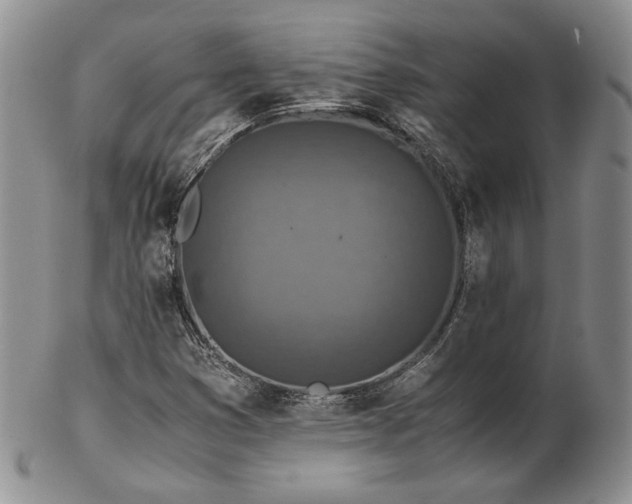 X0000103141353200808221207