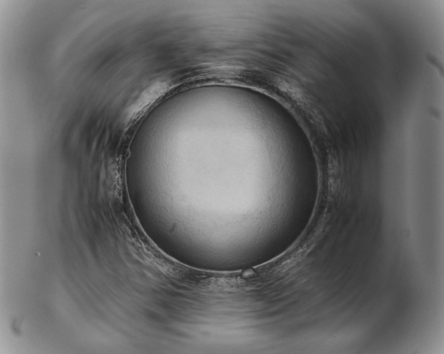 X0000103141354200808221207