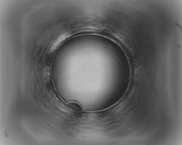 X0000103141355200808221207