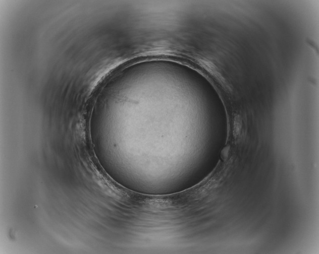 X0000103141356200808221207