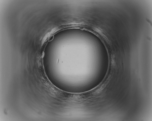 X0000103141357200808221207