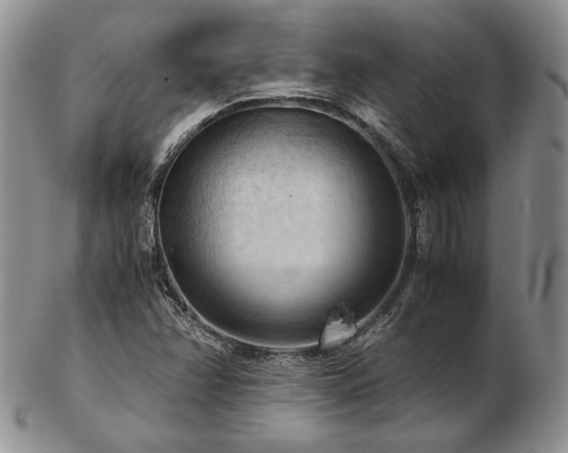 X0000103141358200808221207