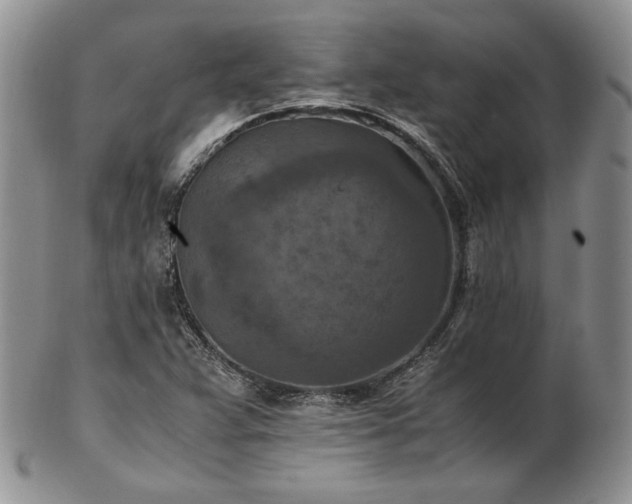 X0000103141359200808221207