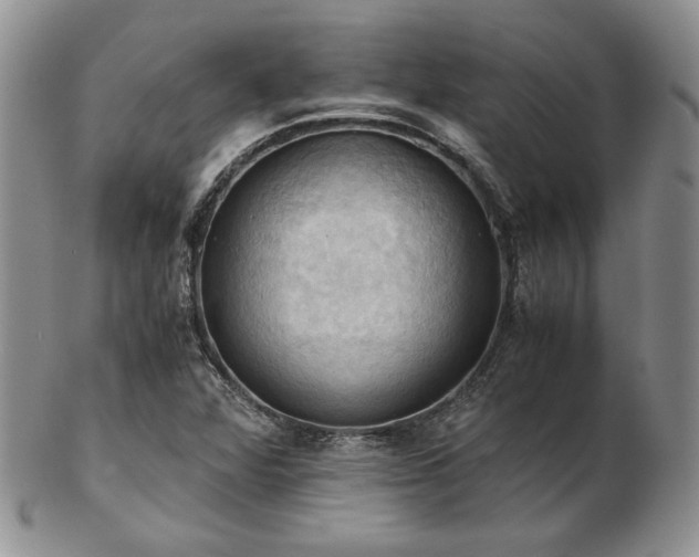 X0000103141360200808221207