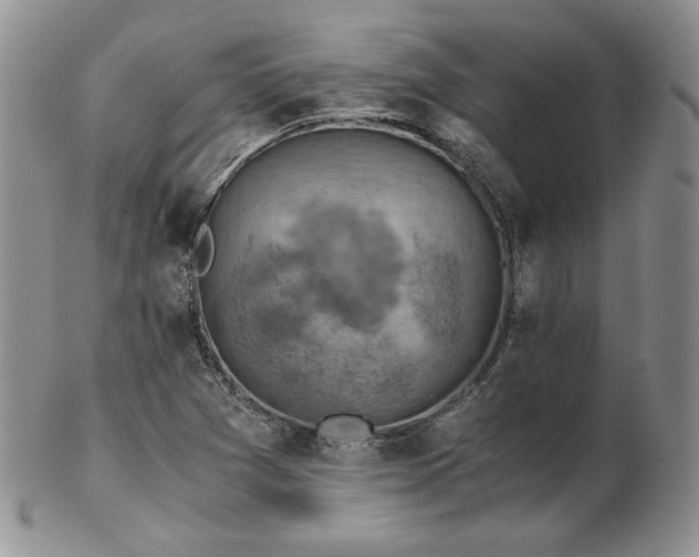 X0000103141361200808221207