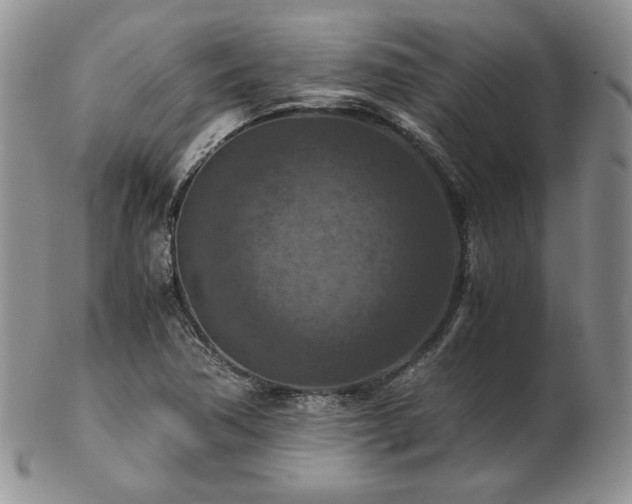 X0000103141362200808221207