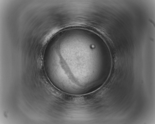 X0000103141363200808221207