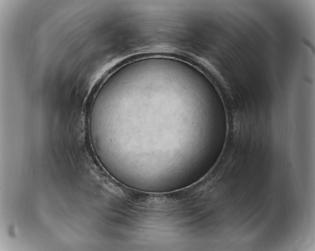 X0000103141364200808221207