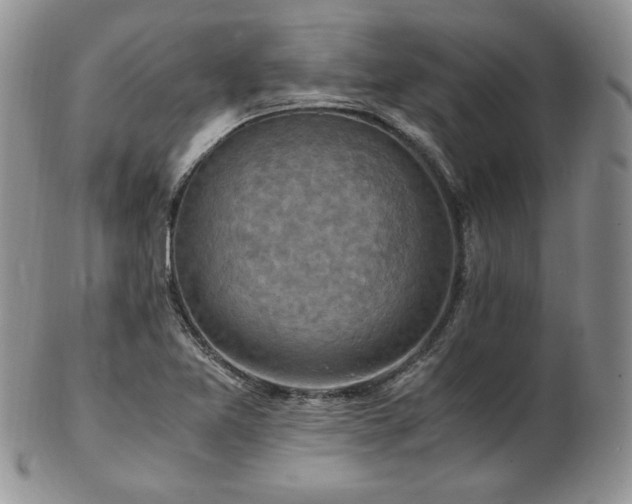 X0000103141365200808221207