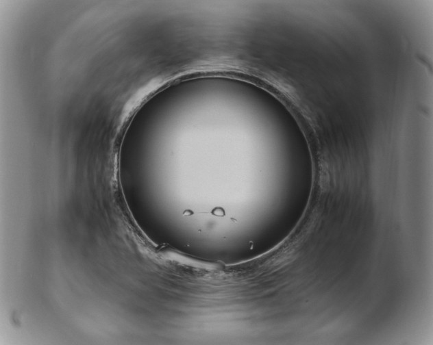 X0000103141366200808221207