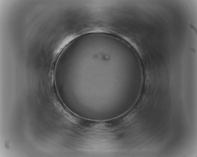 X0000103141367200808221207