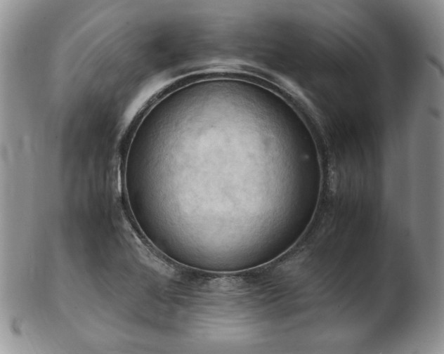 X0000103141368200808221207