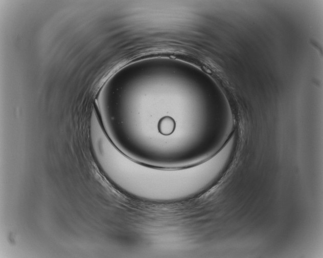 X0000103141369200808221207