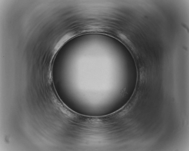 X0000103141370200808221207