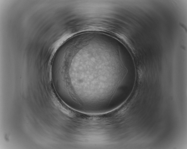 X0000103141371200808221207