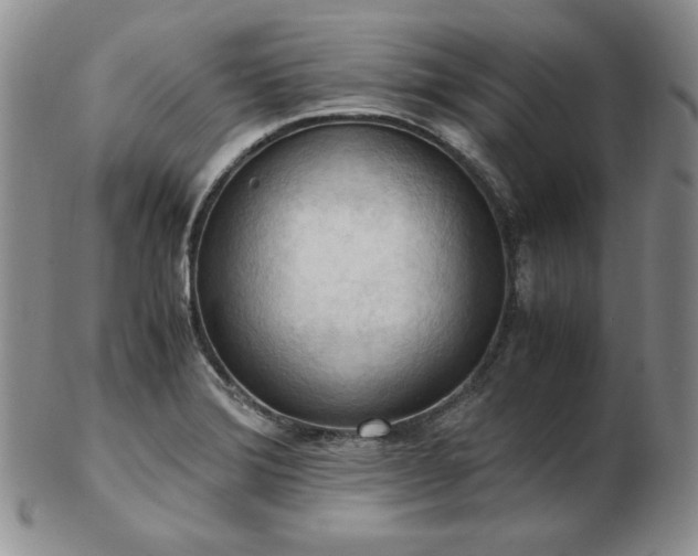 X0000103141372200808221207