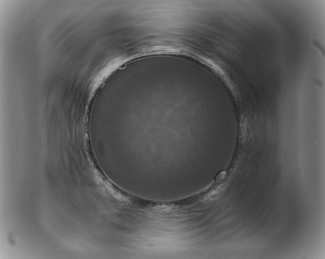 X0000103141373200808221207