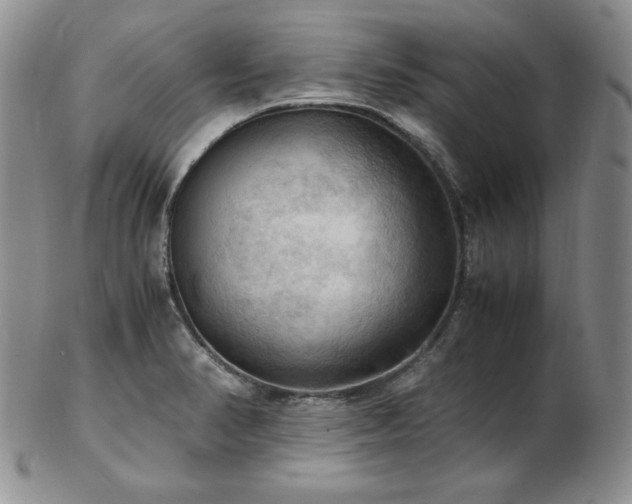 X0000103141374200808221207