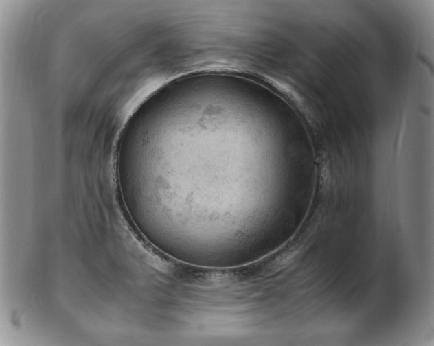 X0000103141375200808221207