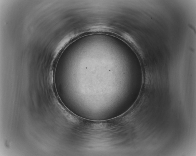 X0000103141376200808221207