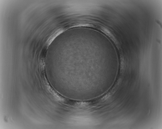 X0000103141377200808221207