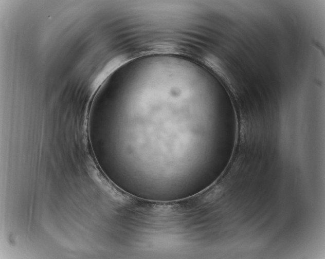 X0000103141378200808221206