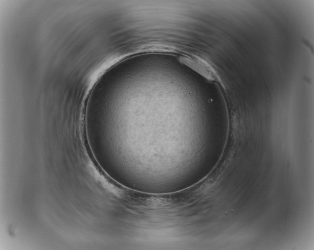 X0000103141379200808221206