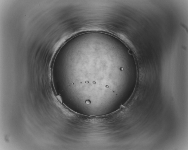 X0000103141380200808221206