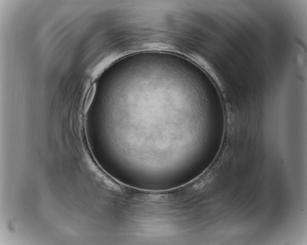 X0000103141381200808221206