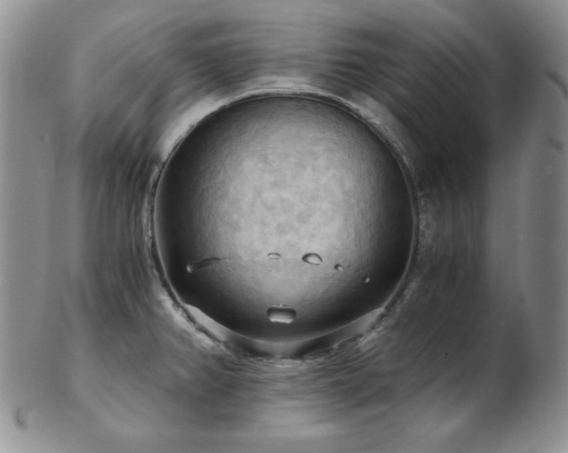 X0000103141382200808221206